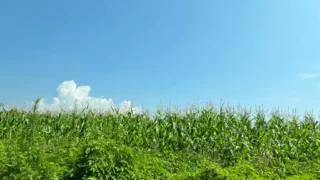 那須に移住して感じたこと 《にゃこのひとり言 vol.2》
